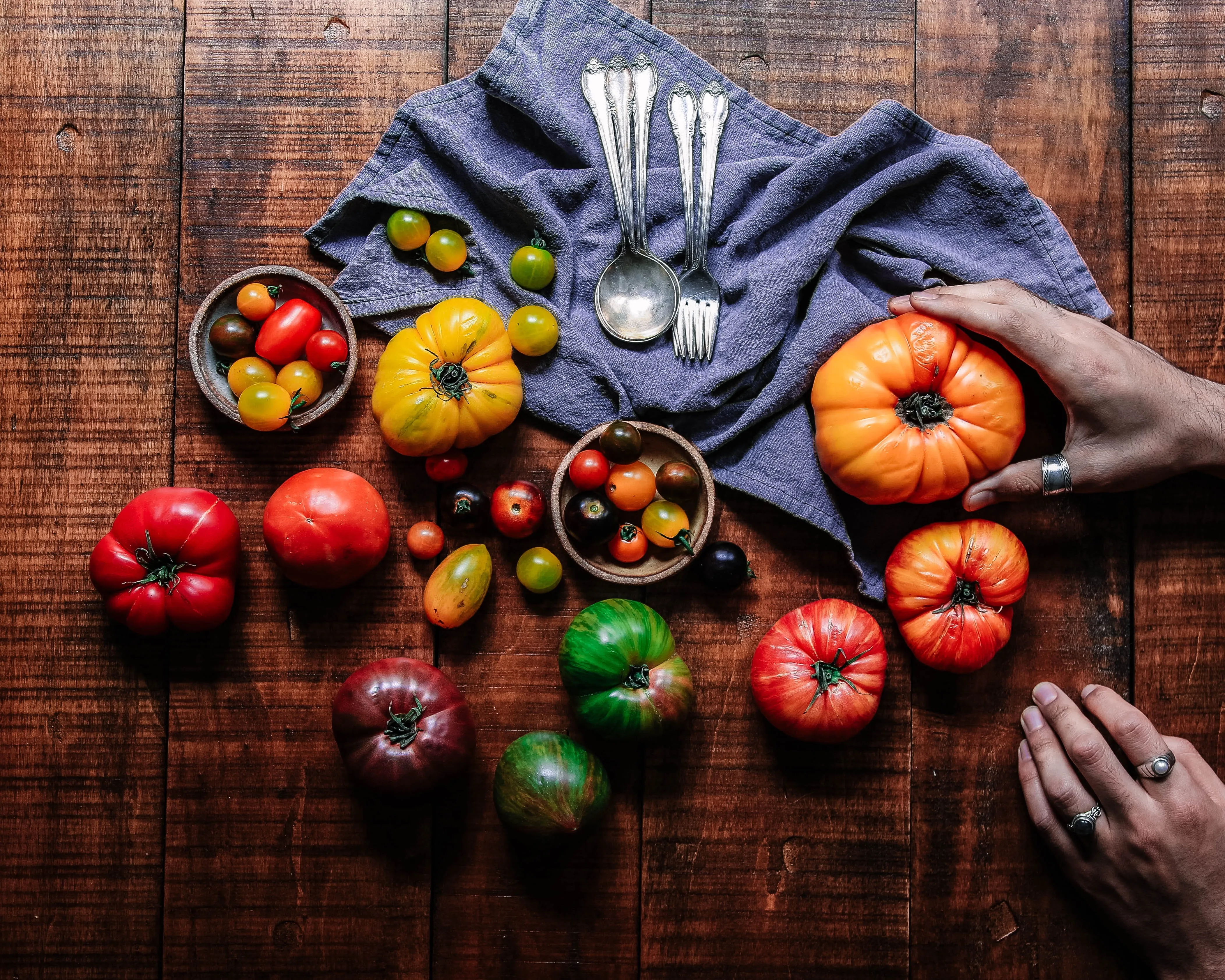 Accords Mets et Vins de Provence : Sublimer la Cuisine Provençale